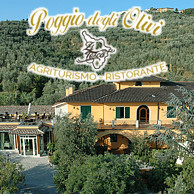 POGGIO DEGLI OLIVI